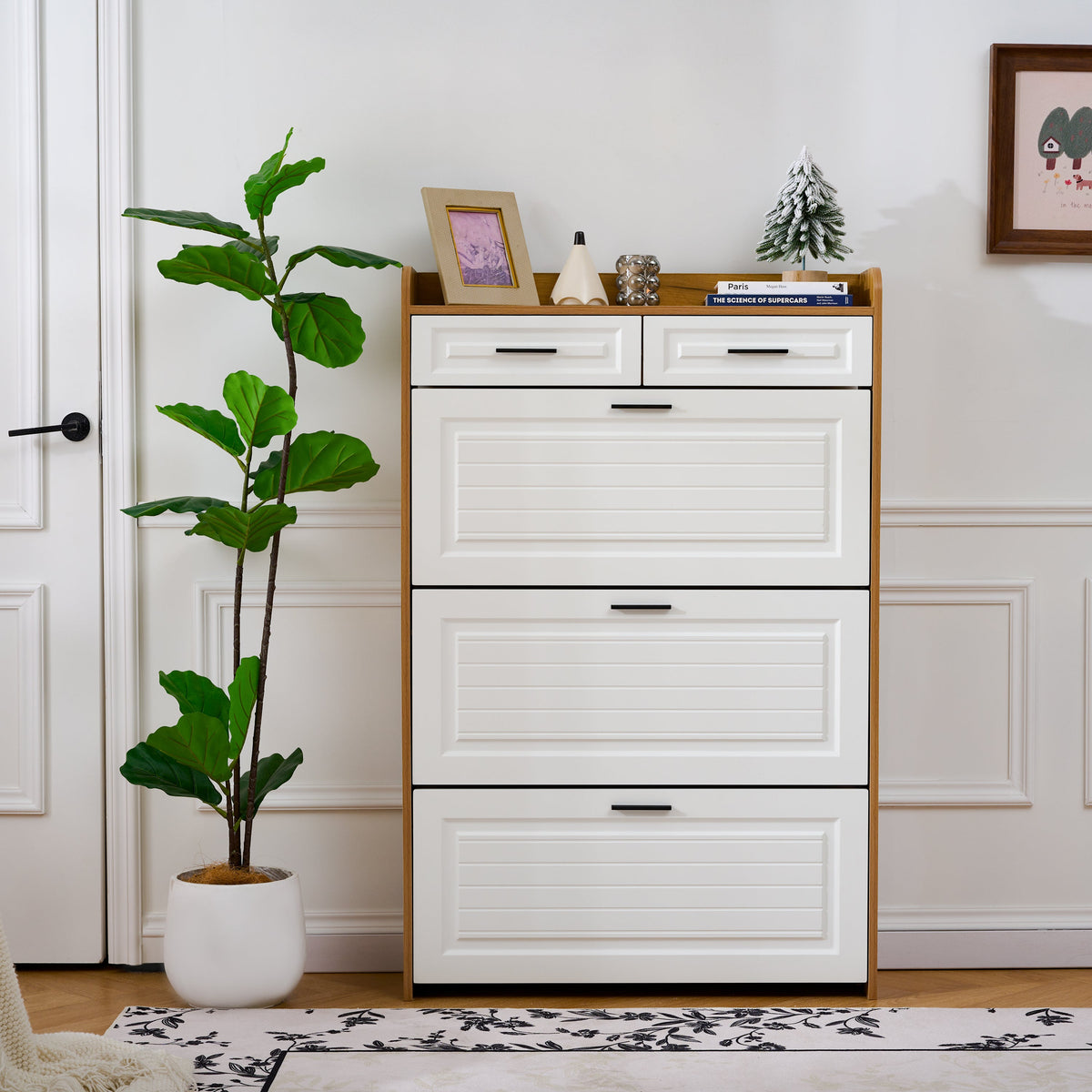 Narrow Shoe Storage Cabinet for Entryway