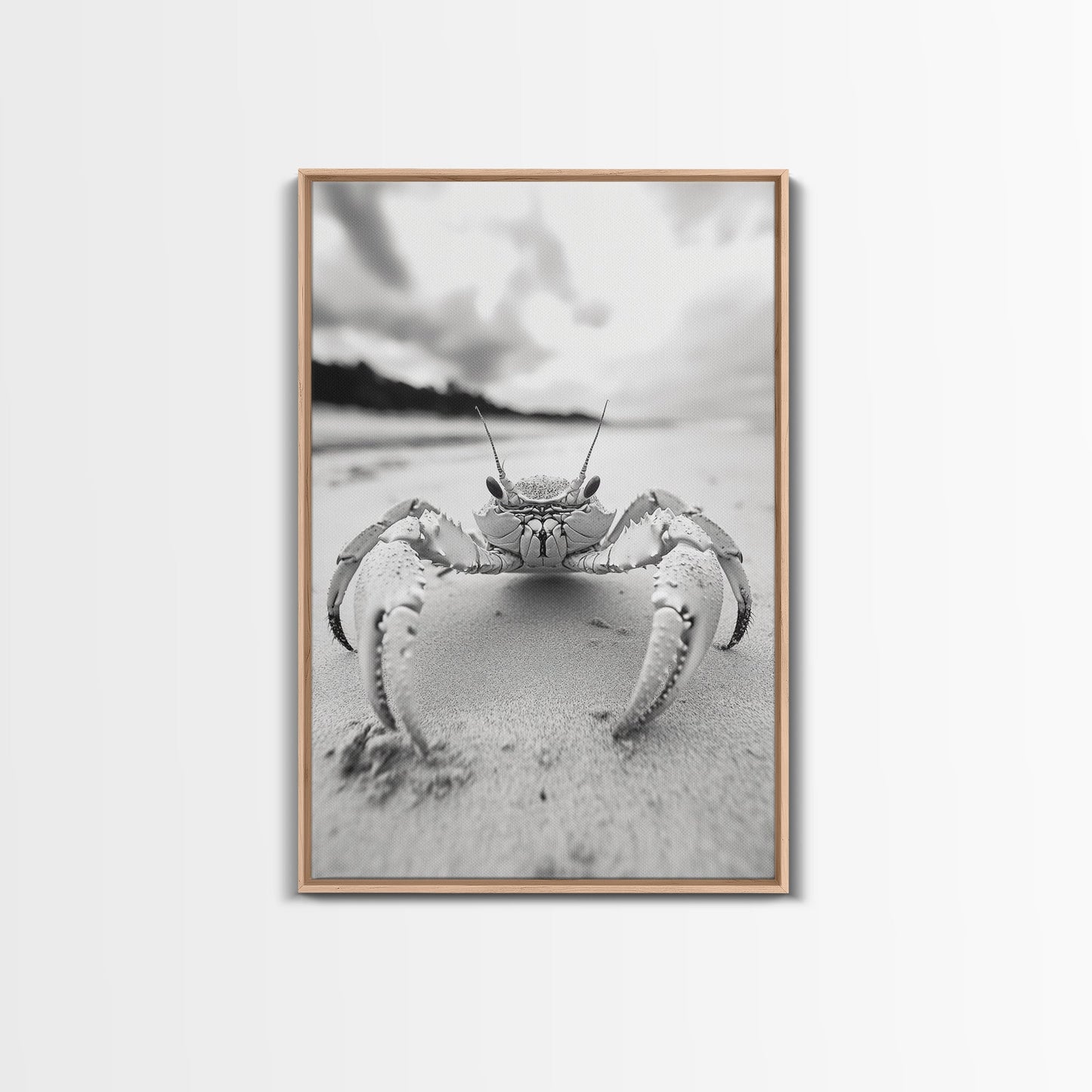 Beach Crab Portrait, Closeup Ocean Art, Tropical Minimalism, Coastal Creature Photo, Framed Canvas Print, Bathroom Wall Decor, Marine Decor