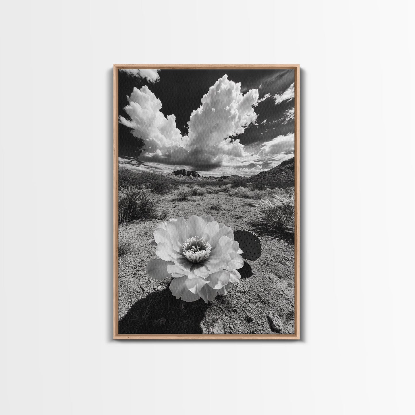 Desert Bloom, Cactus Flower, Bold Nature, Framed Canvas Print, Boho Wall Art, Southwestern Home Decor, Dramatic Desert Photography