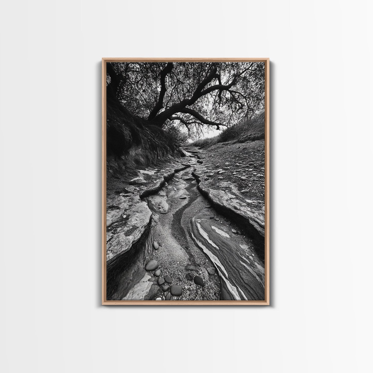Dry Creek, Twisted Tree, Rocky Path, Framed Canvas Print, Moody Autumn Wall Art, Earthy Entryway Decor, Nature Texture Photography