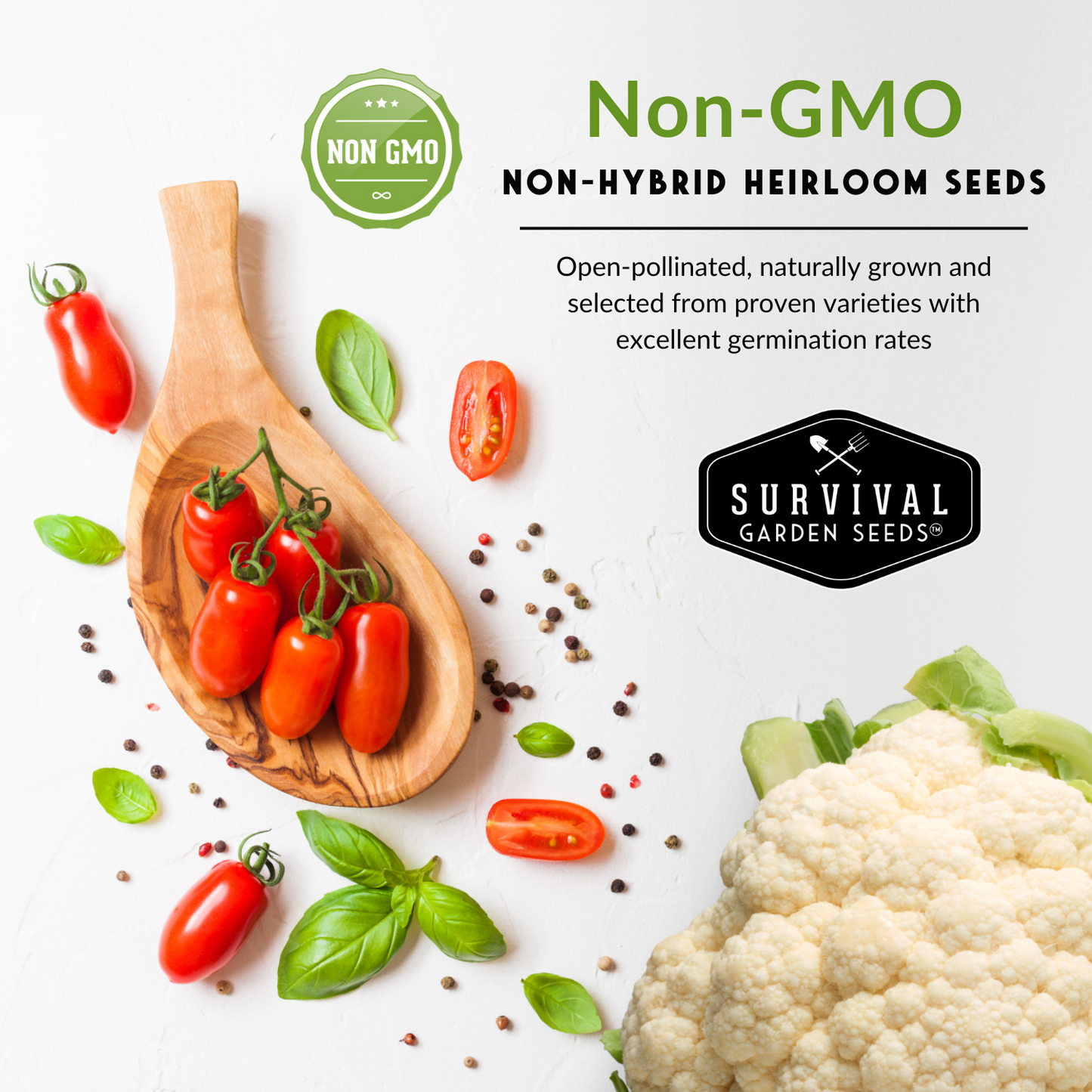 10 Vegetable Seed Collection – Heirloom Non-GMO Garden Vegetables for Home Growing and Food Security