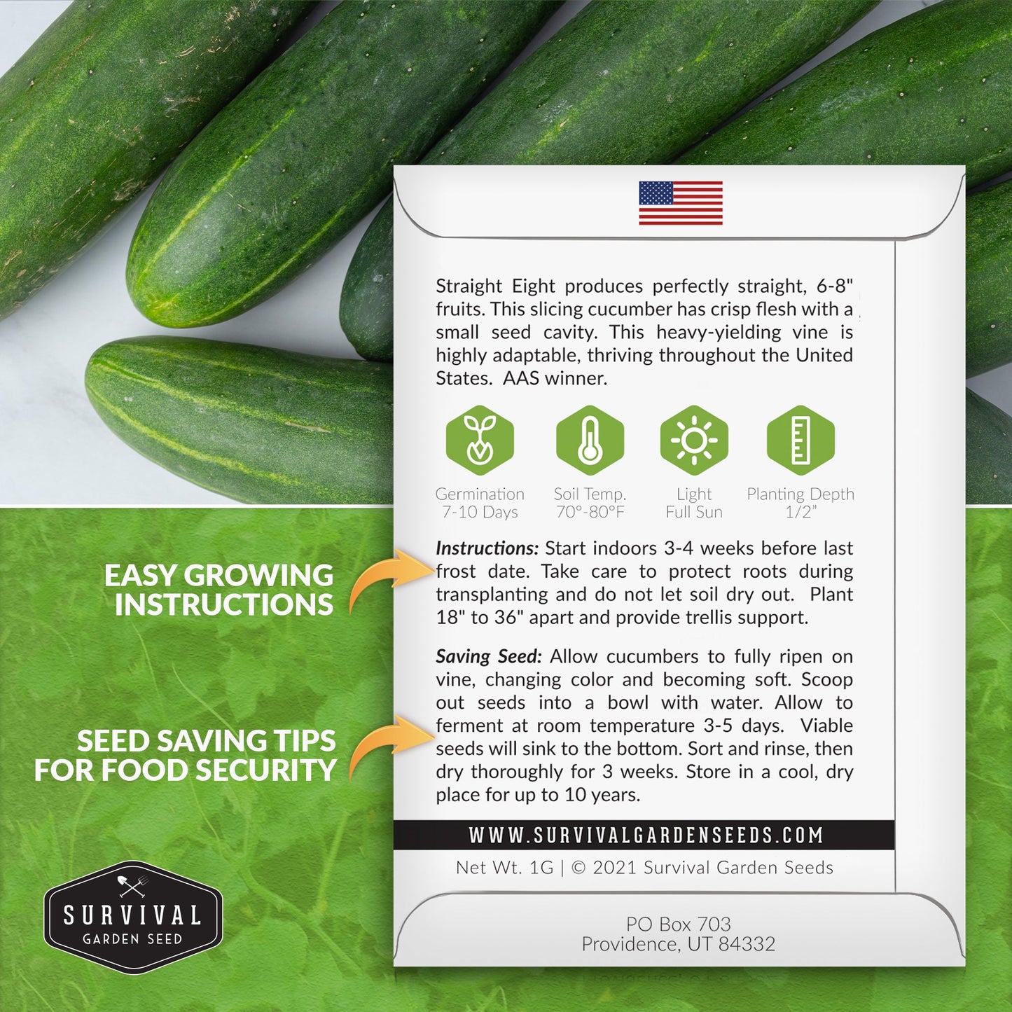 10 Vegetable Seed Collection – Heirloom Non-GMO Garden Vegetables for Home Growing and Food Security