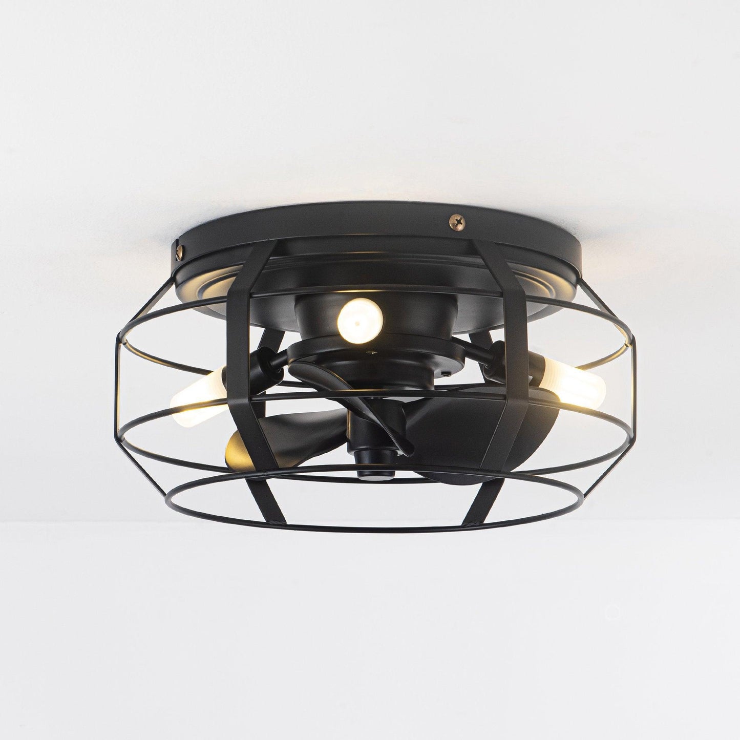 12" Flush Mount Low Profile Caged Small Ceiling Fan with Light and Remote Control
