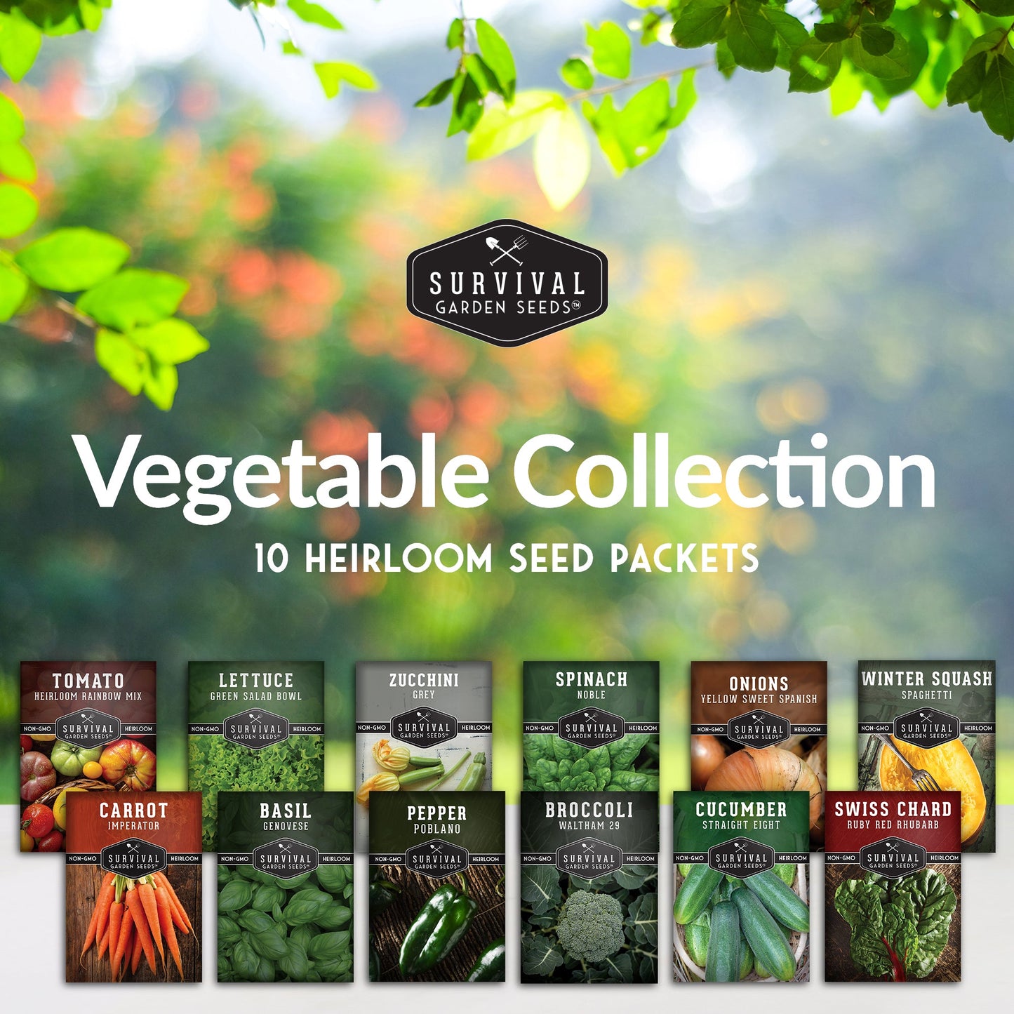 12 Vegetable Seed Collection – Heirloom Non-GMO Garden Vegetables & Herbs for Home Growing