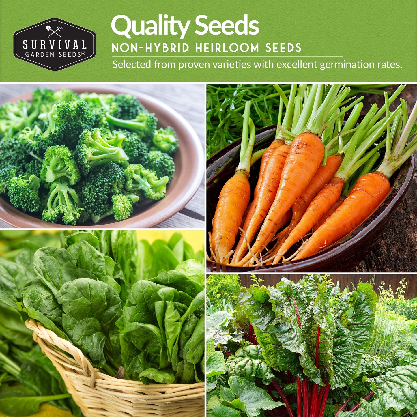 12 Vegetable Seed Collection – Heirloom Non-GMO Garden Vegetables & Herbs for Home Growing