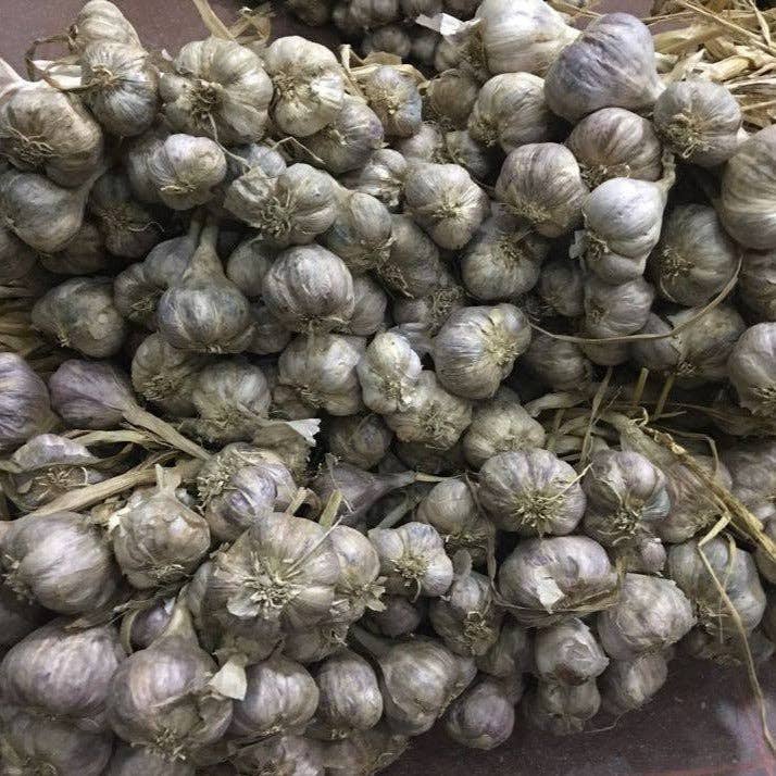 Purple Stripe Garlic - Single Origin Spice & Seasoning