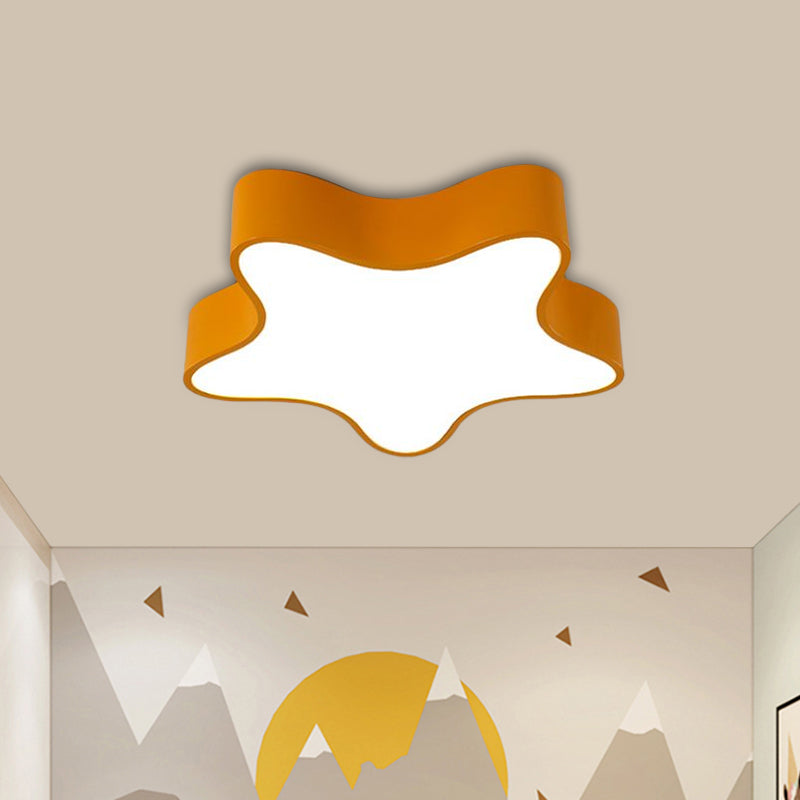 Whimsical Starfish Lights Up Your Child's Room
