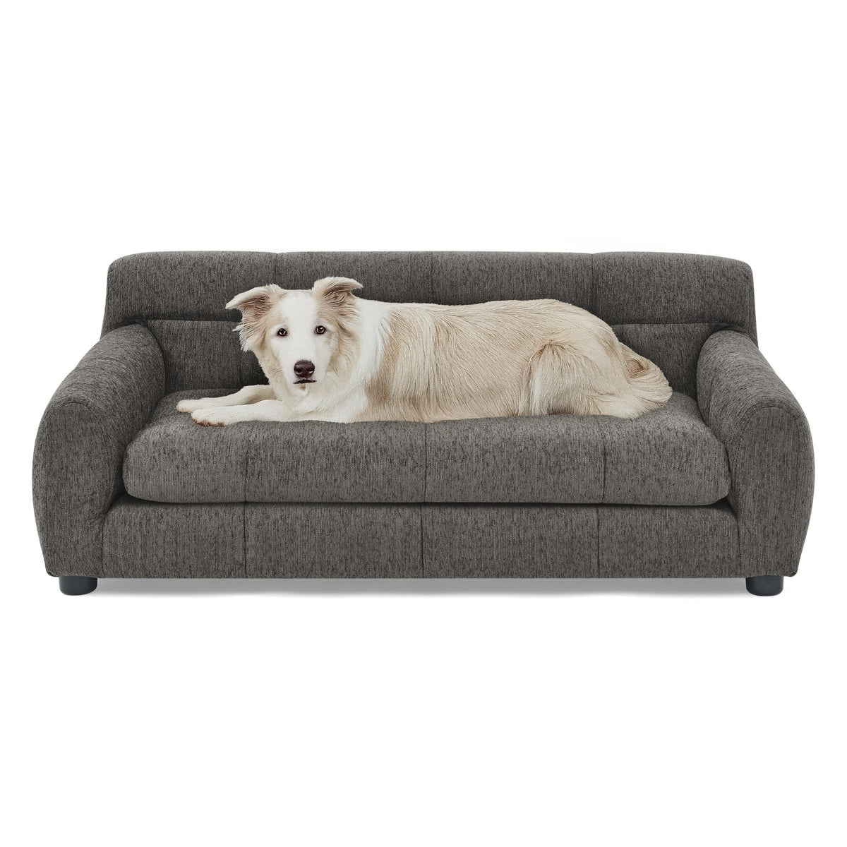 Soft and Comfortable Pet Sofa with Backrest and Armrests