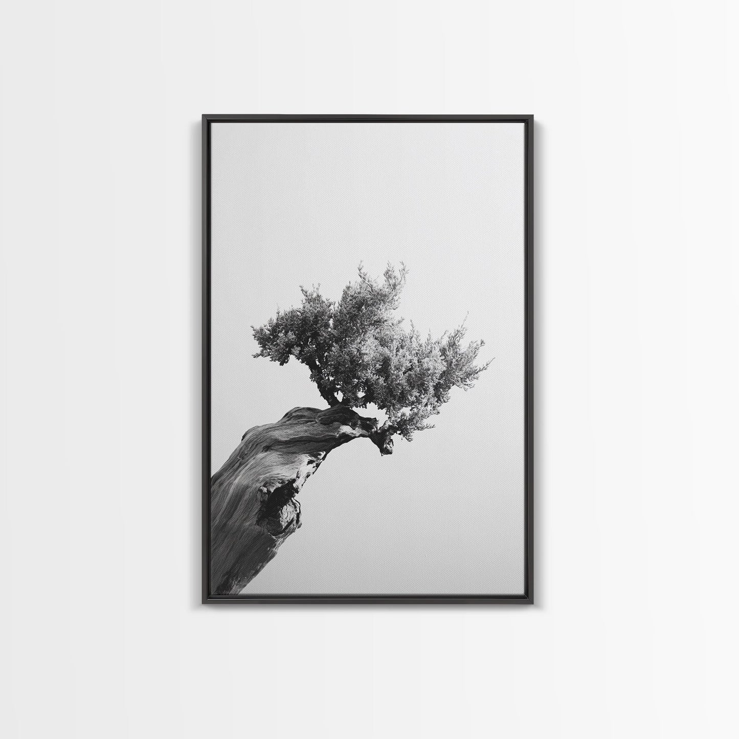 Bonsai Tree, Windswept Wood, Minimal Zen, Canvas Print, Japanese Style Art, Wabi Sabi Decor, Monochrome Botanical Wall Accent