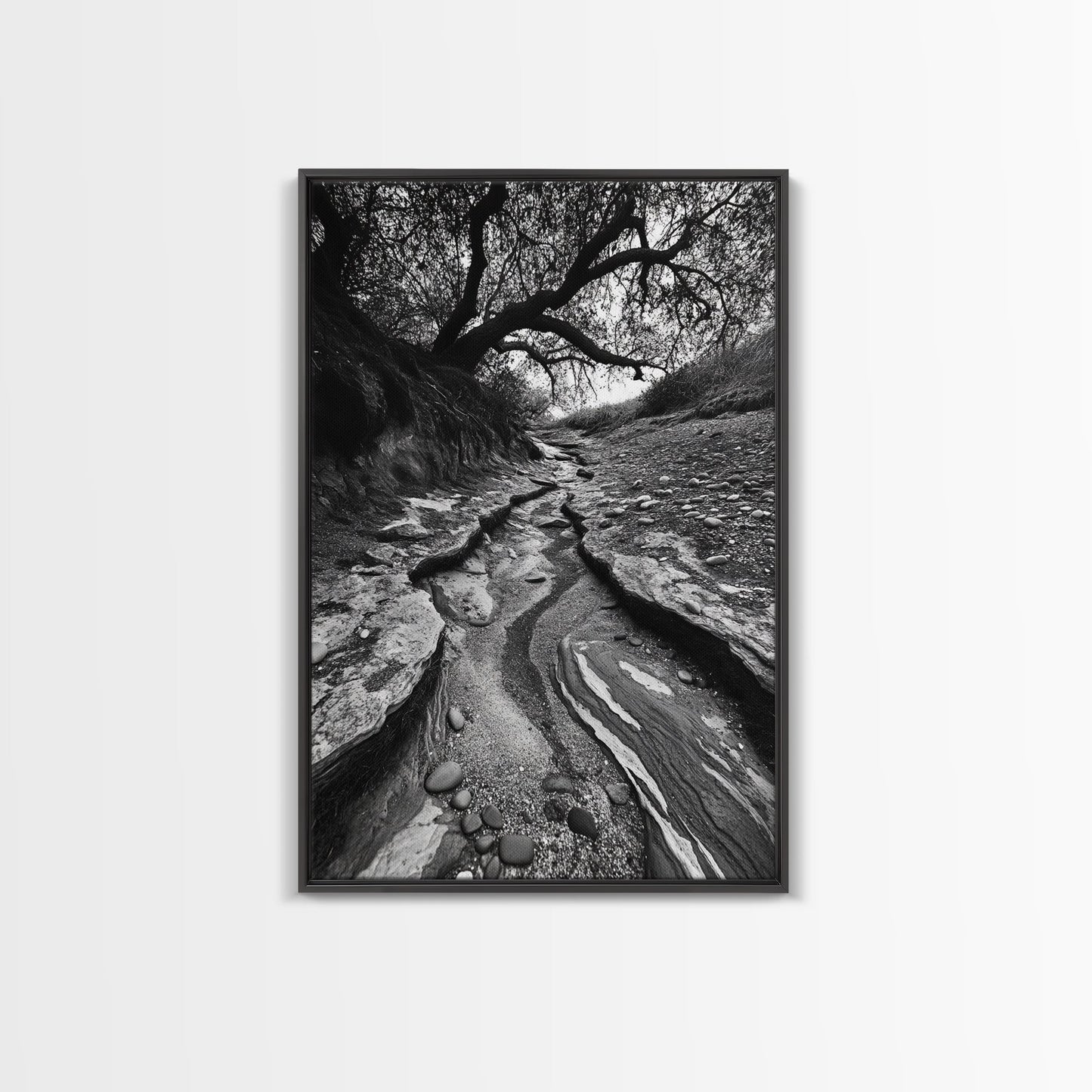 Dry Creek, Twisted Tree, Rocky Path, Framed Canvas Print, Moody Autumn Wall Art, Earthy Entryway Decor, Nature Texture Photography