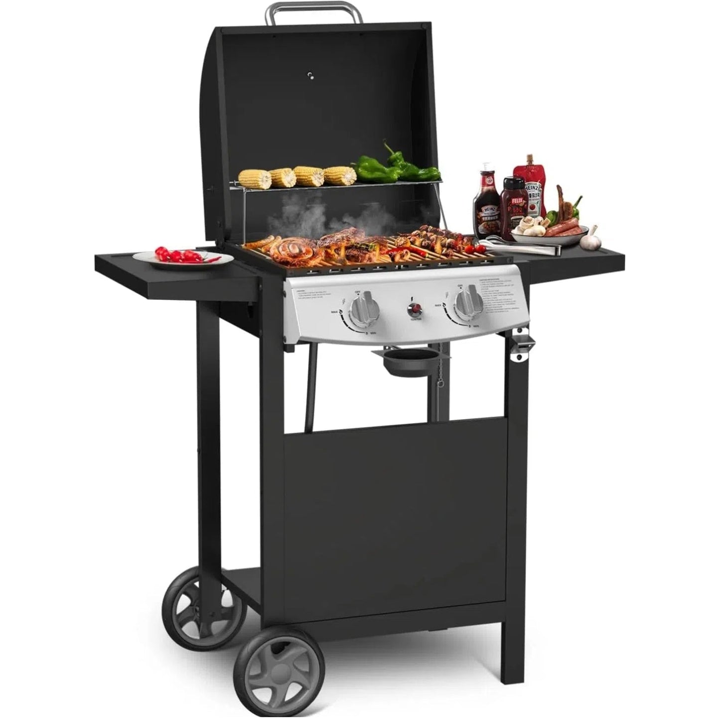 2-Burner Propane Gas Grill,228 Sq. Inch Cooking Area,Outdoor Camping Picnic for Patio,Party,Black