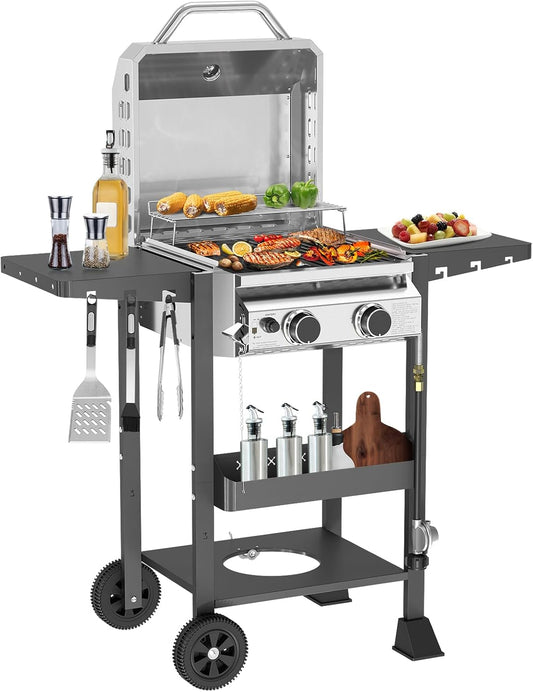 2-Burner Stainless Steel Propane Grill, 16,000 BTU Portable Gas BBQ with Electronic Ignition