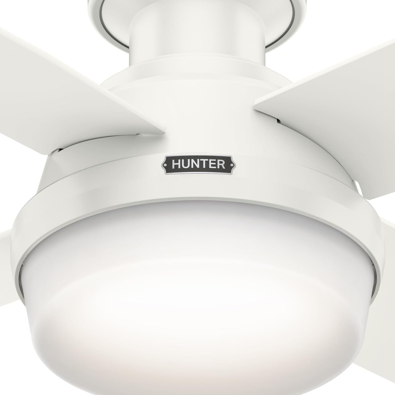 44-Inch LED Low-Profile Ceiling Fan With Remote Control ceiling fan light close-up, Hunter brand, modern home decor