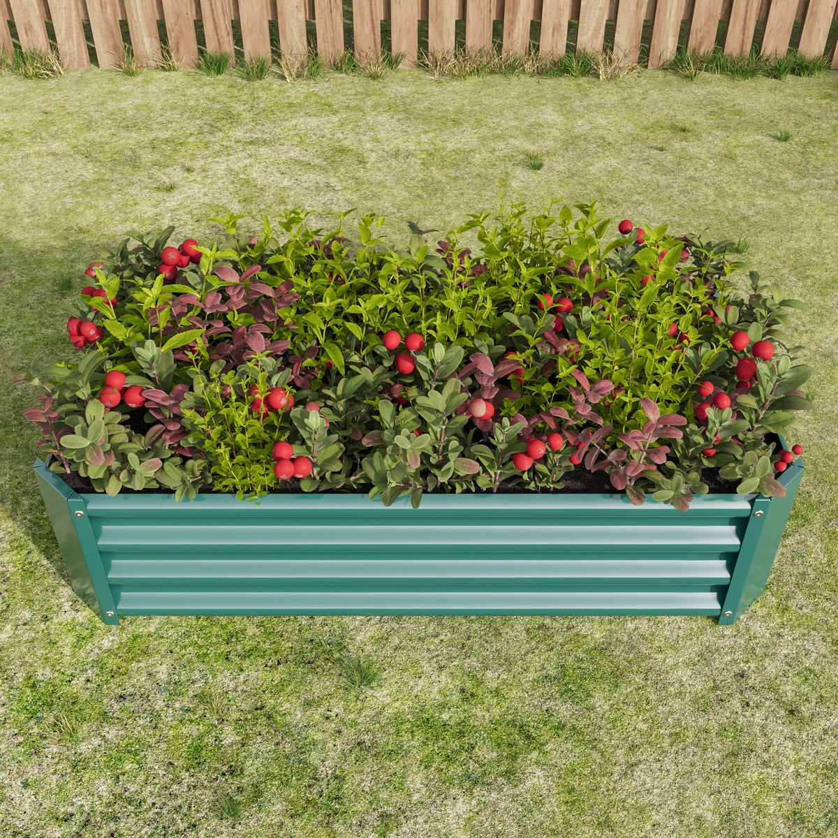 Metal Raised Garden Bed - Rectangle Planter