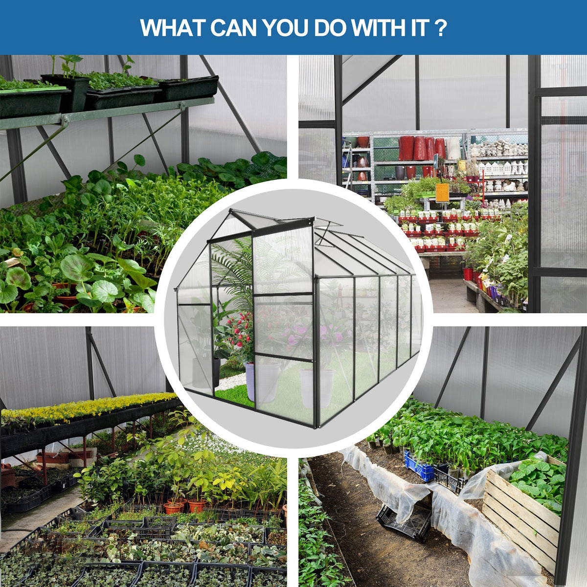 6x10 FT Polycarbonate Greenhouse