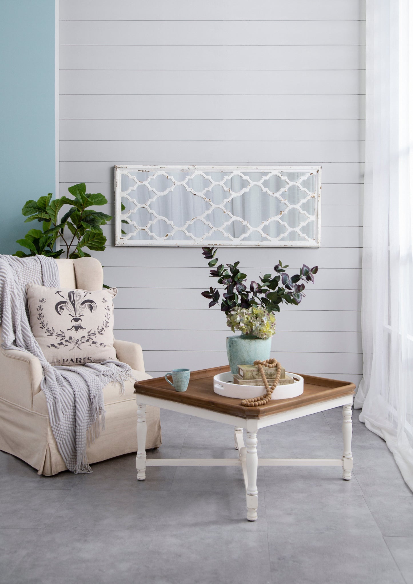 24" x 60" Distressed Full Length Mirror