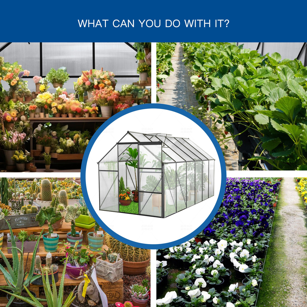 6x12 FT Polycarbonate Greenhouse with Raised Base