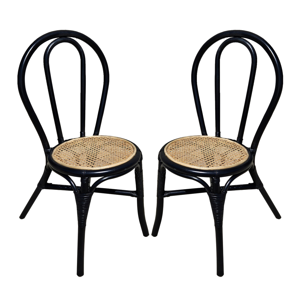 Set of 2 Decorative Accent Chairs