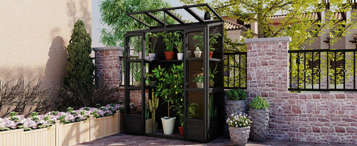TOPMAX 78-Inch Wooden Greenhouse Cold Frame