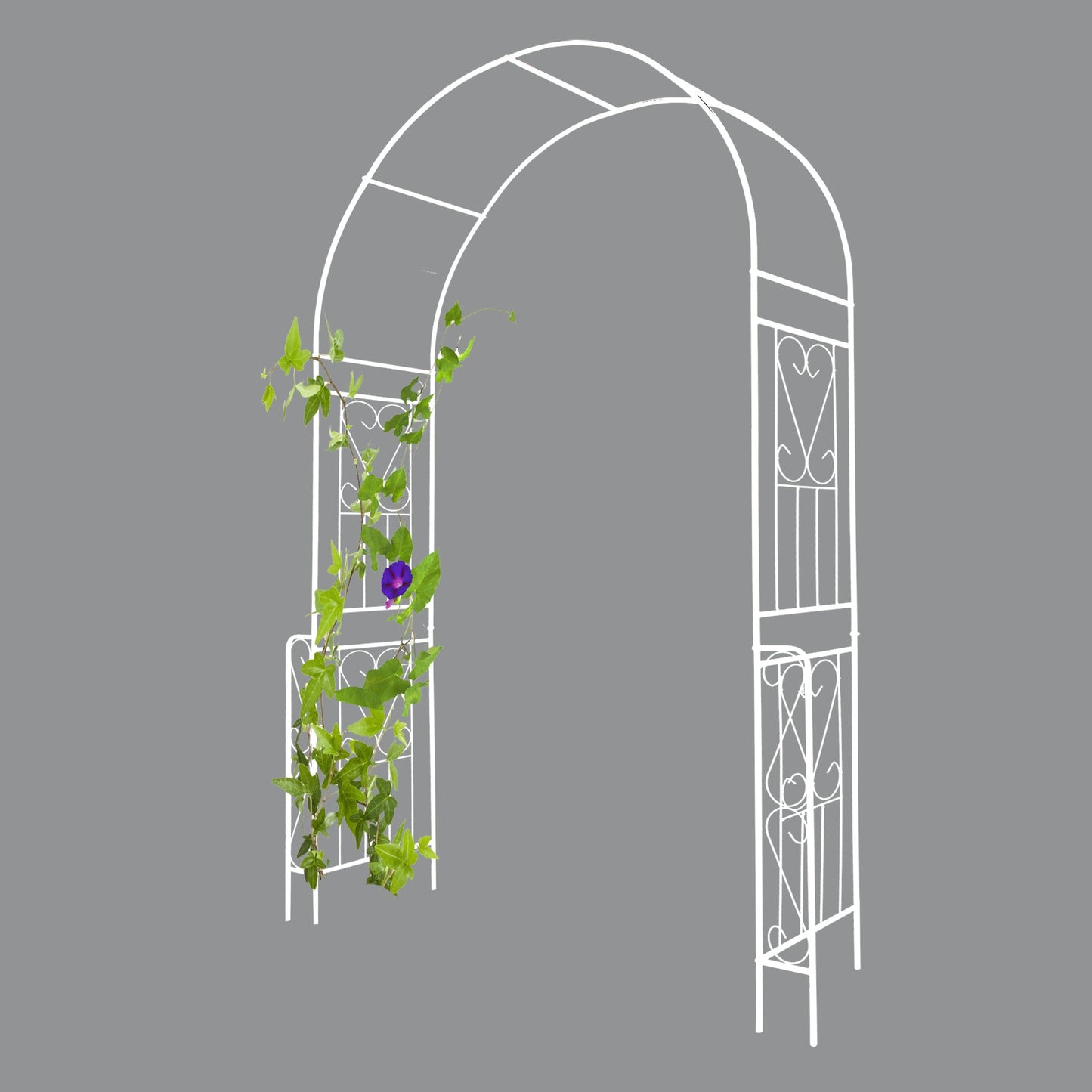 Metal Garden Arch W55'' x H94.5''