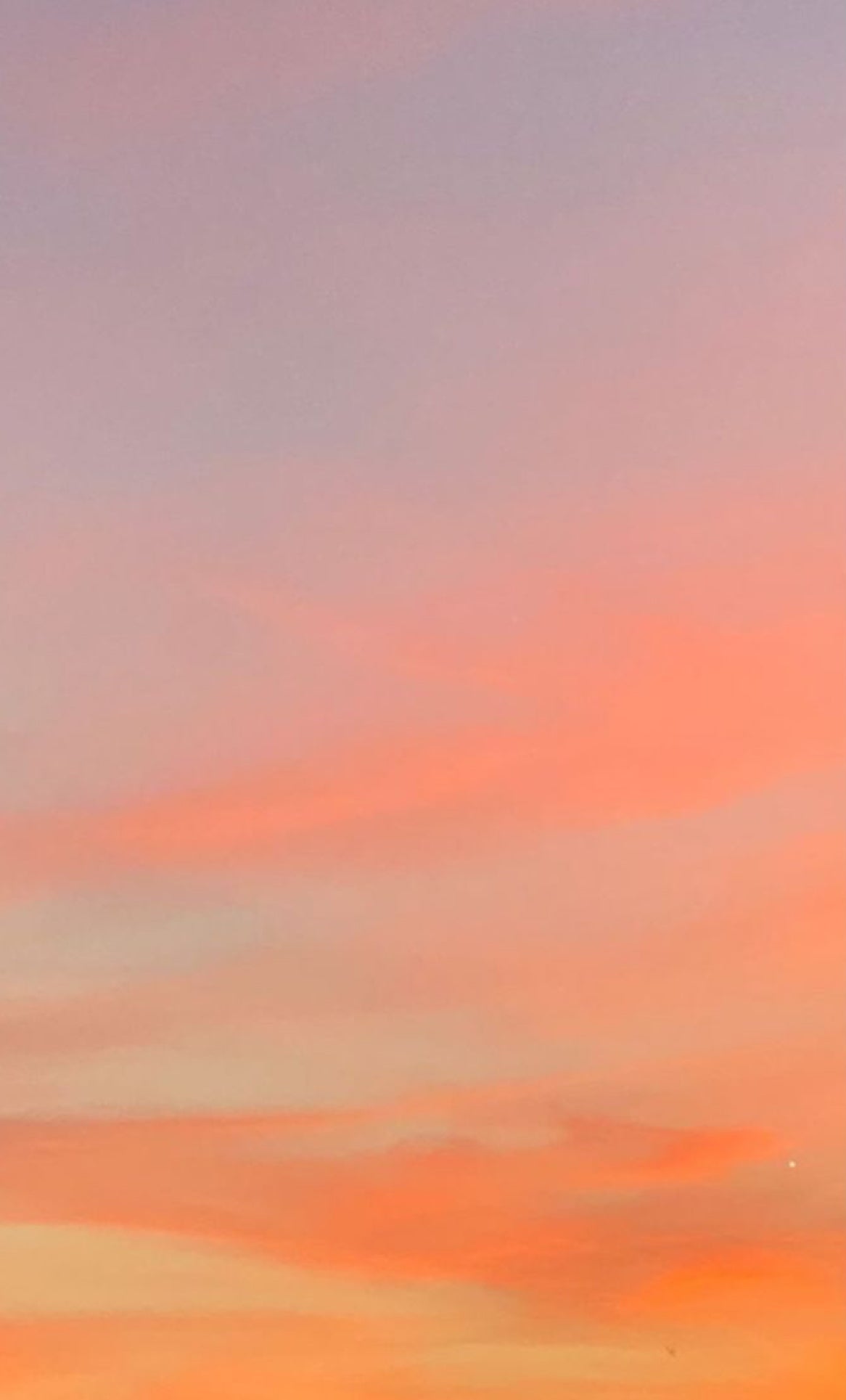 Summer Sunset 4 oz Candle