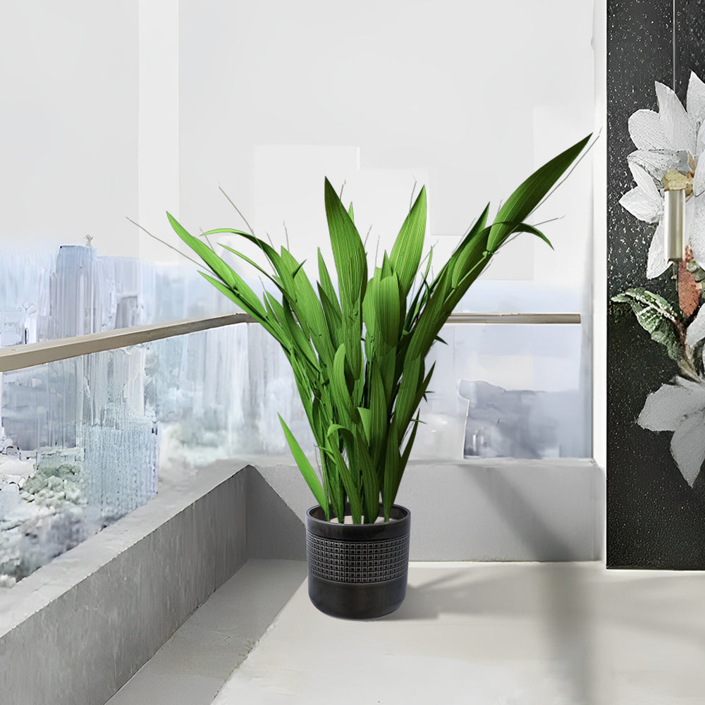 3 Pieces Ceramic Flowerpot, Modern Planter for Patio, Garden or Windowsills - Black