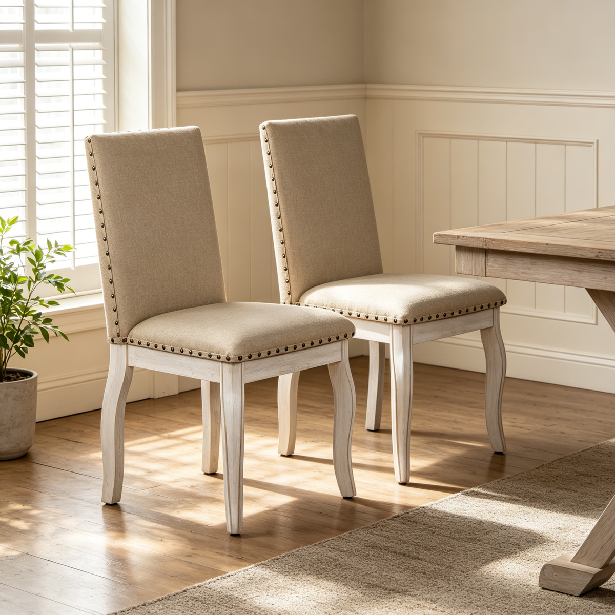 TREXM Set of 2 Dining Chairs with Upholstered Fabric