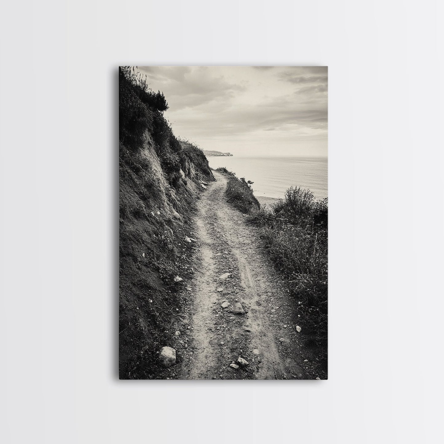 Coastal Cliff Path, Tranquil Trail, Black and White Landscape, Nature Lover Gift, Framed Canvas Print, Entryway Wall Art, Rustic Boho Art