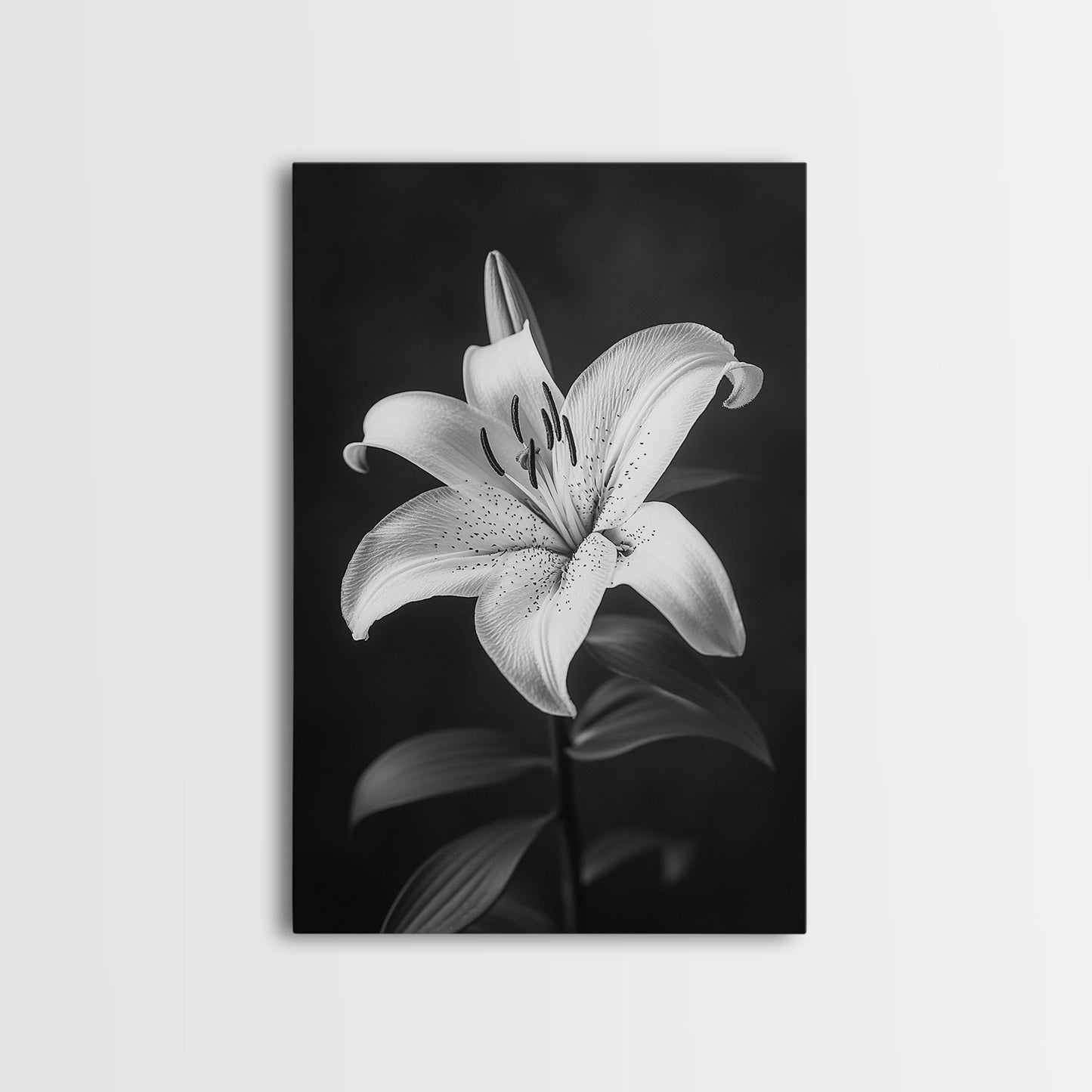 Elegant Lily, Black and White, Floral Beauty, Canvas Print, Botanical Wall Art, Minimalist Art, Bedroom Wall Decor, Nature Photography