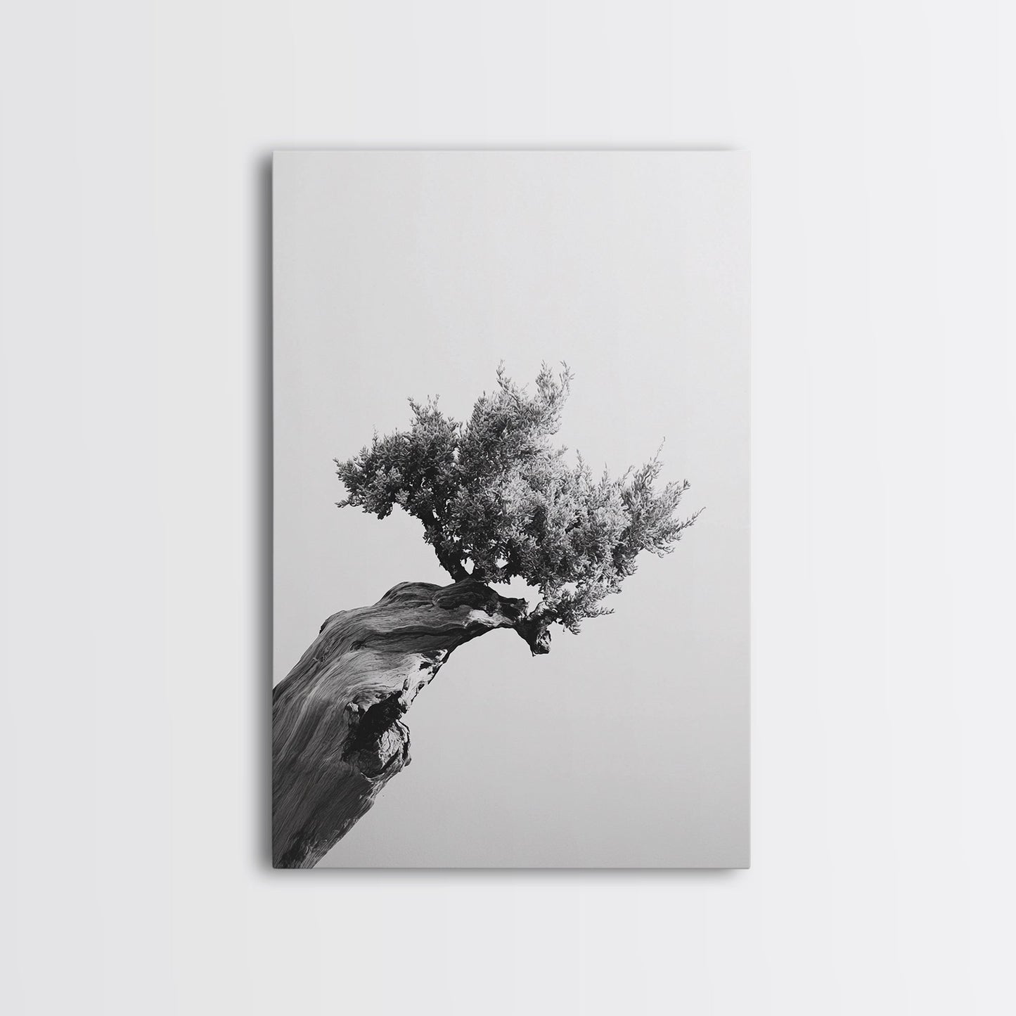 Bonsai Tree, Windswept Wood, Minimal Zen, Canvas Print, Japanese Style Art, Wabi Sabi Decor, Monochrome Botanical Wall Accent