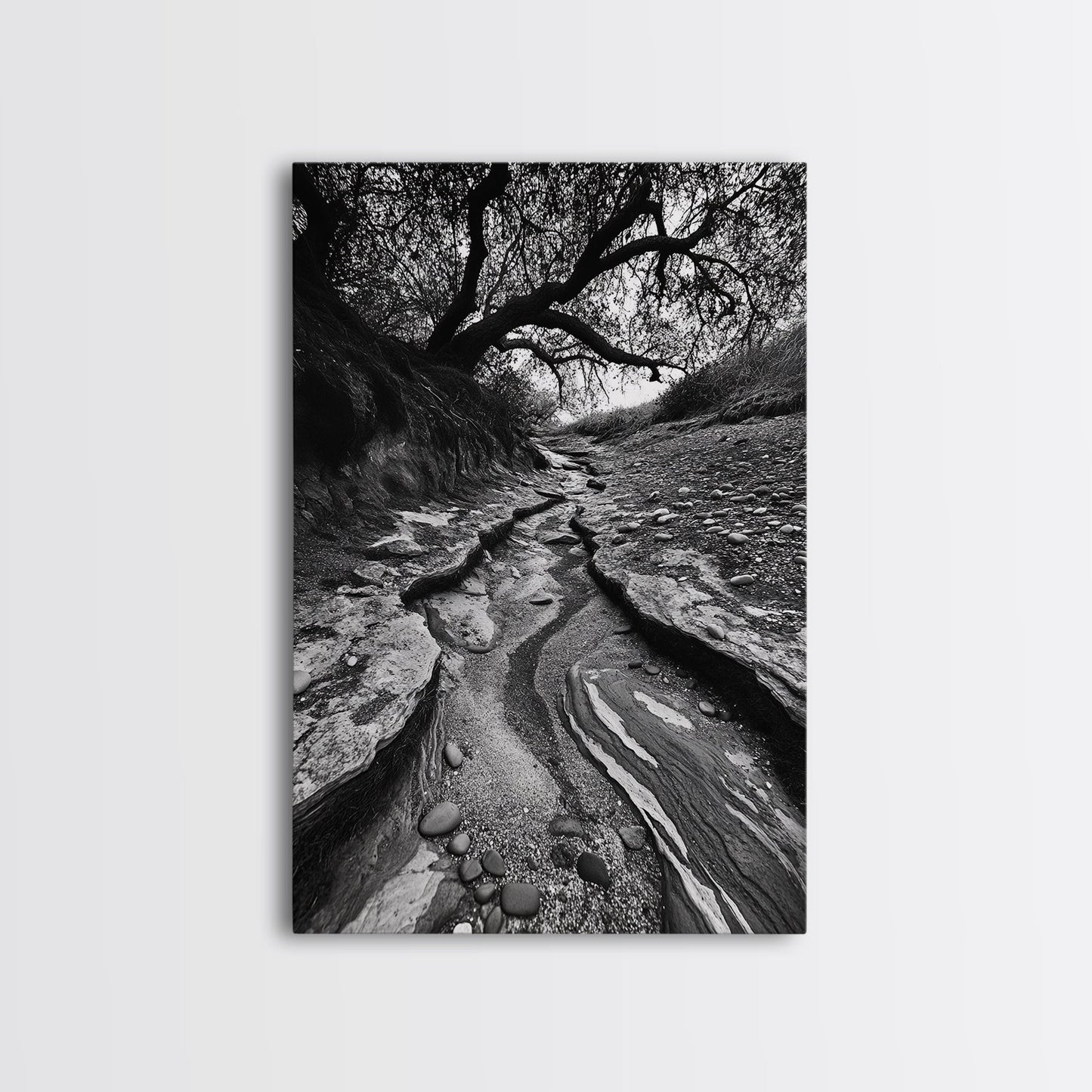 Dry Creek, Twisted Tree, Rocky Path, Framed Canvas Print, Moody Autumn Wall Art, Earthy Entryway Decor, Nature Texture Photography