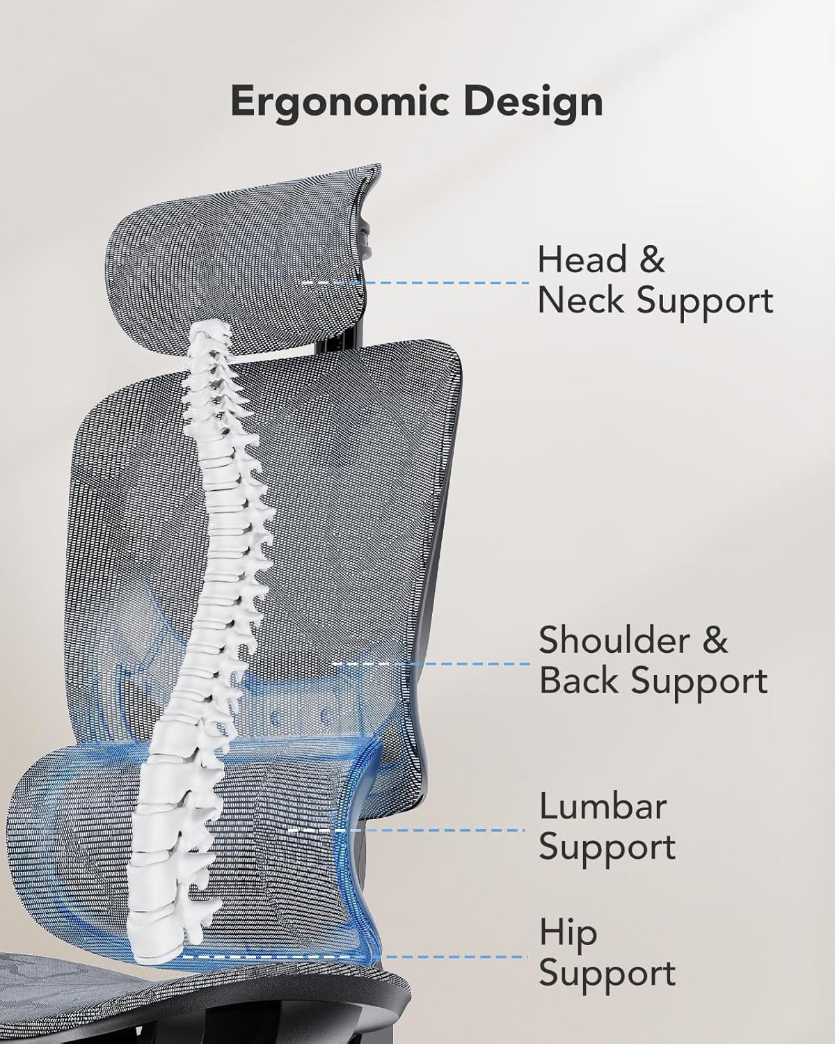 Ergonomic Mesh Office Chair High Back With Lumbar Support