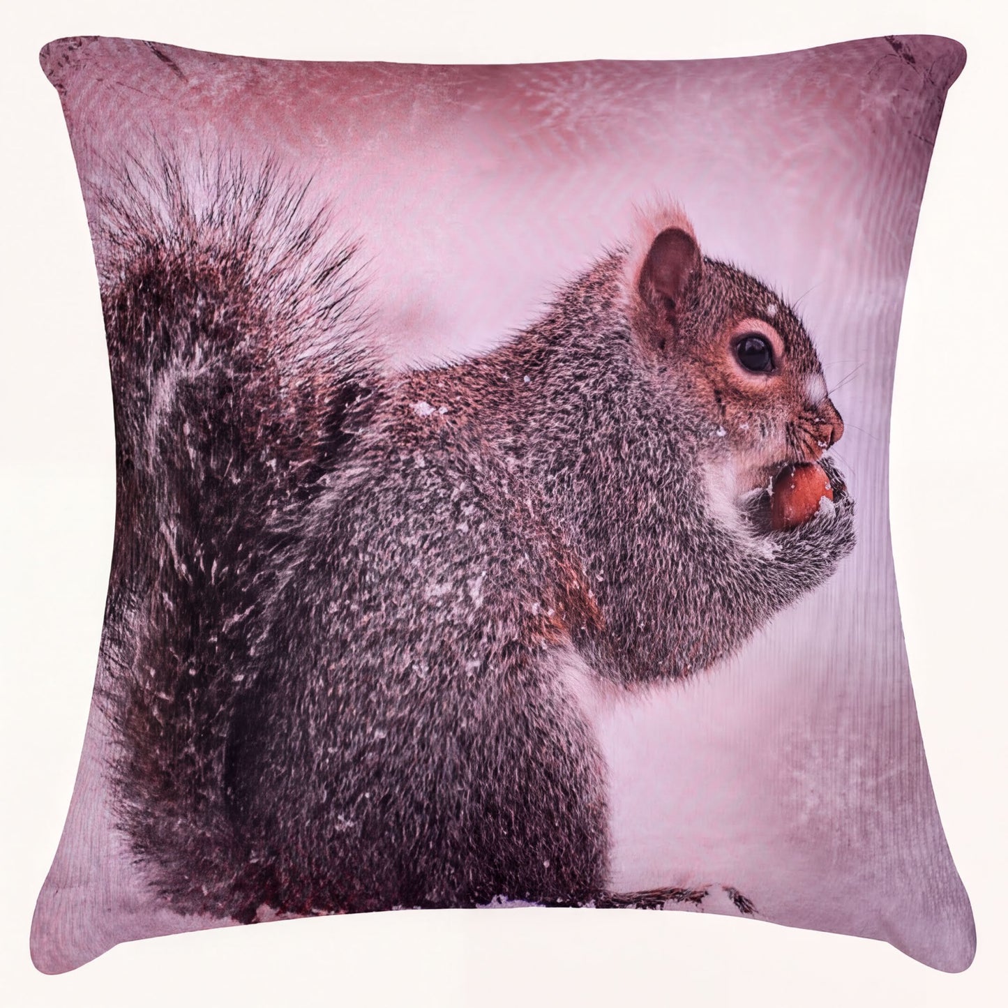 Squirrel Throw Pillow Covers - Set of 2 or 4 Decorative Printed Cushion Covers, 18x18 Inch