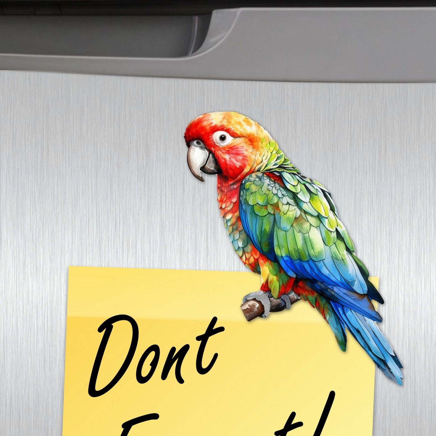 Parrots Decorative Wooden Magnets Set of 6 by G. Debrekht - Wildlife Decor - 8090013G-S6