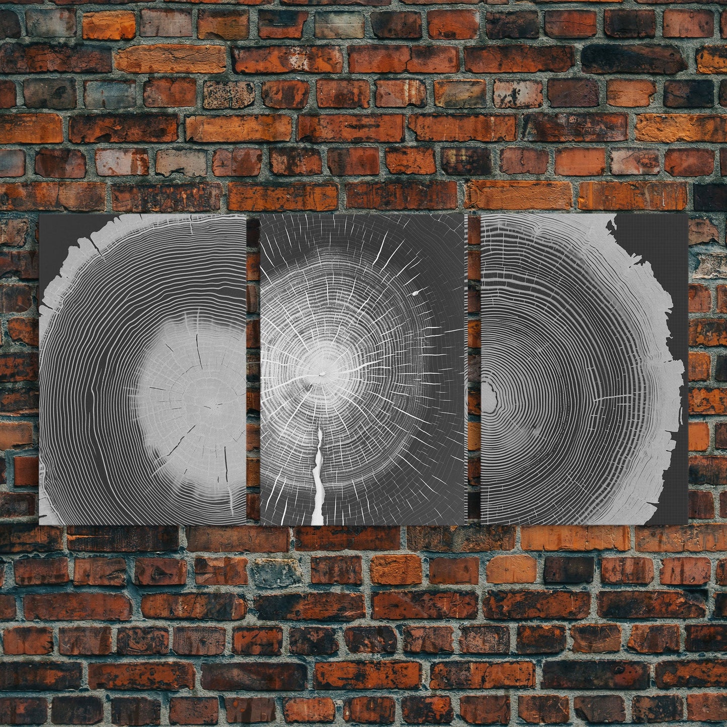 Tree Ring Prints, Lake House Large Wall Art, Boho Art, Minimalist, Farmhouse Art