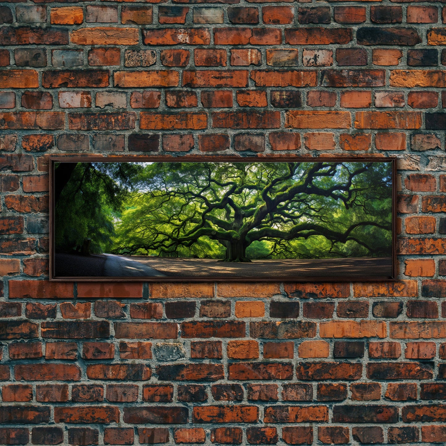 Photographic Panoramic of the Angel Oak in Charleston SC, Sunset Photography, National Park Art, Framed Canvas Print, Landscape Photography
