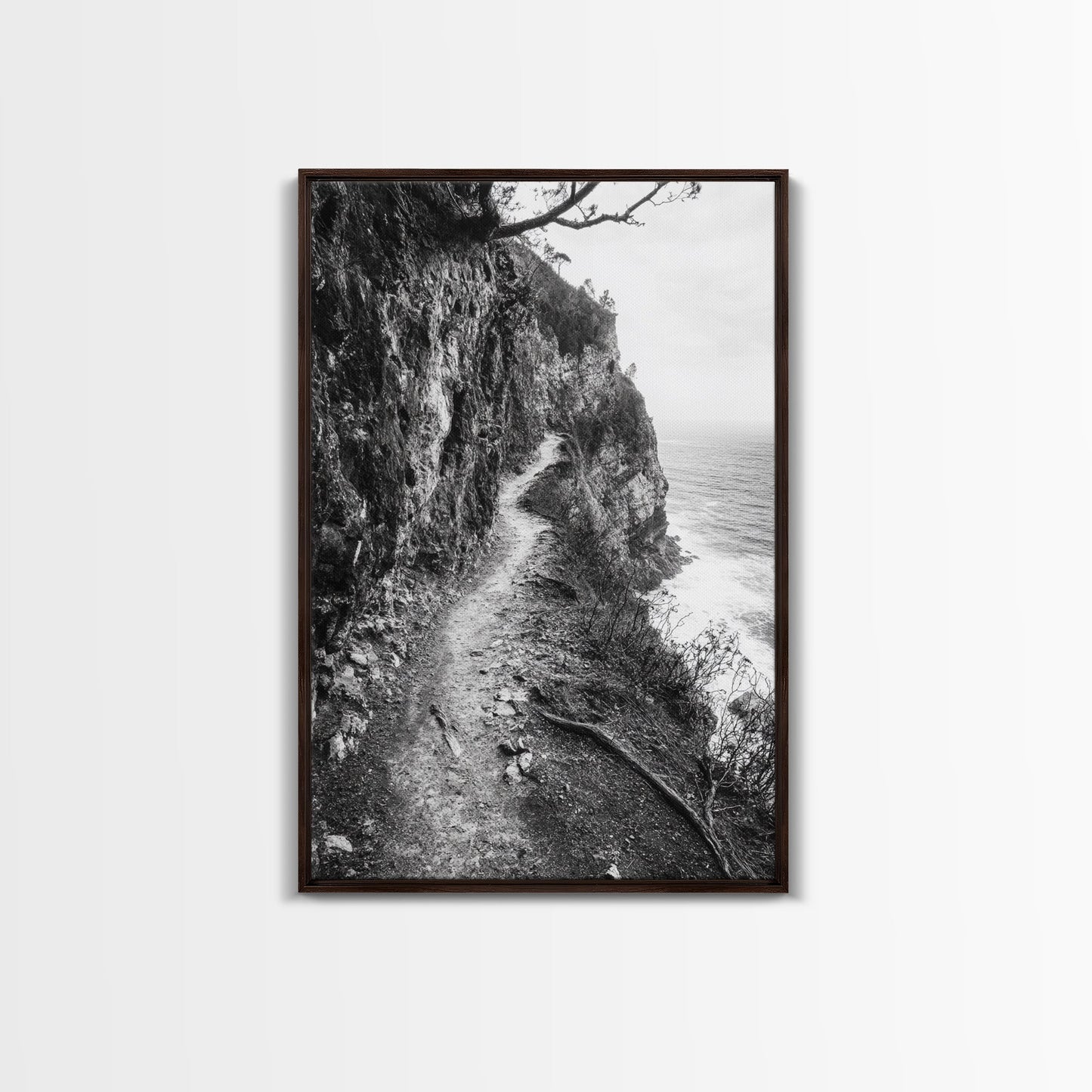 Cliffside Trail, Seaside Path, Coastal Adventure, Outdoor Photography, Framed Canvas Print, Cabin Nature Lover Wall Art, Bedroom Wall Art