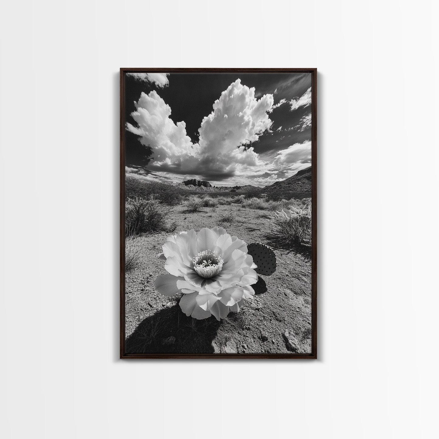 Desert Bloom, Cactus Flower, Bold Nature, Framed Canvas Print, Boho Wall Art, Southwestern Home Decor, Dramatic Desert Photography