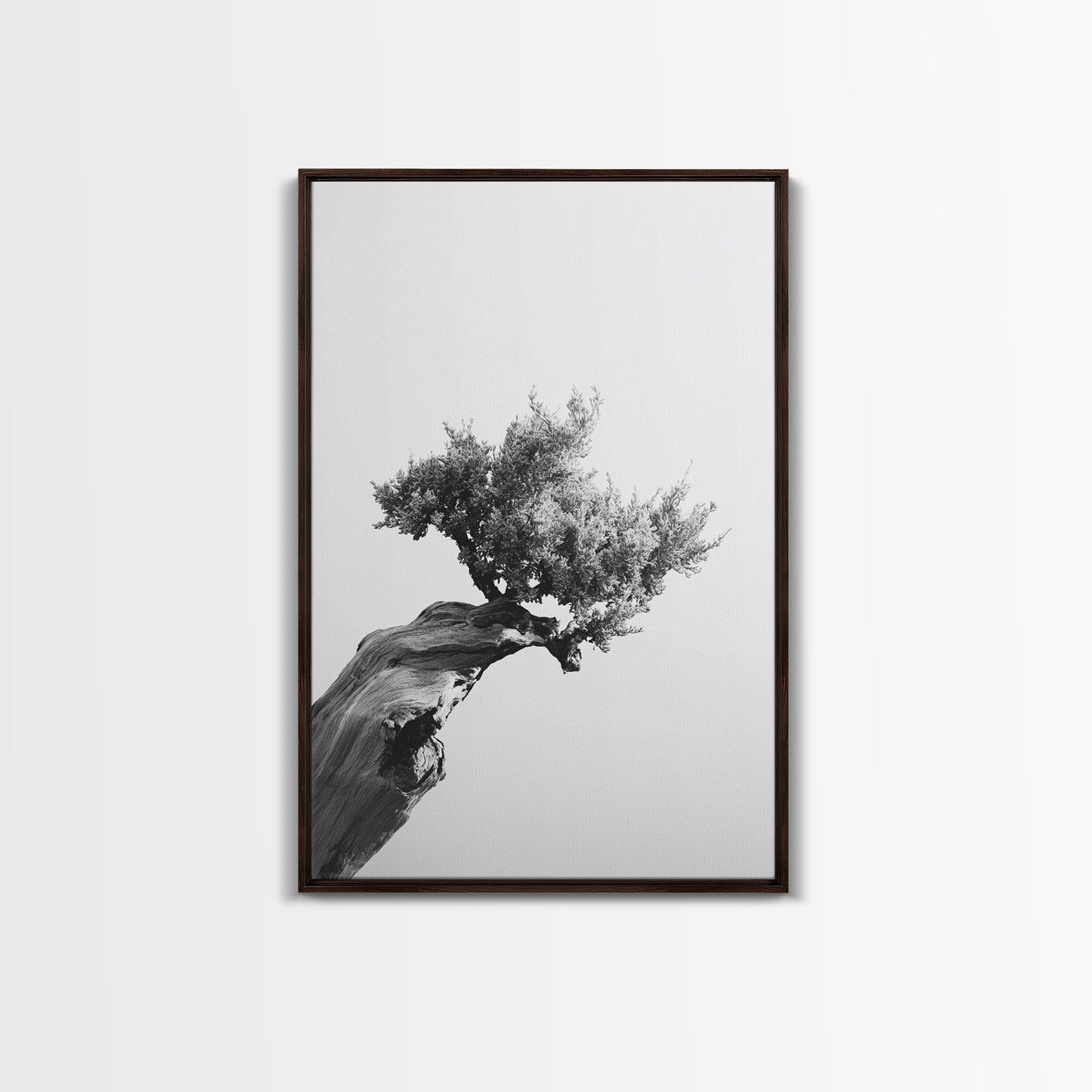 Bonsai Tree, Windswept Wood, Minimal Zen, Canvas Print, Japanese Style Art, Wabi Sabi Decor, Monochrome Botanical Wall Accent