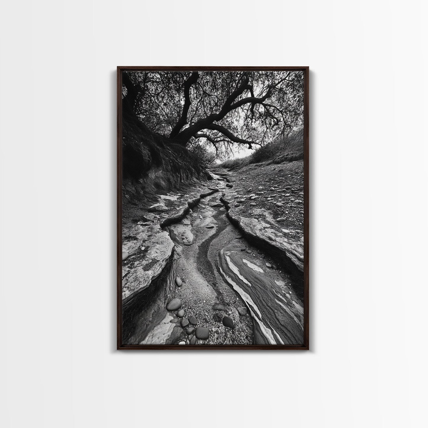 Dry Creek, Twisted Tree, Rocky Path, Framed Canvas Print, Moody Autumn Wall Art, Earthy Entryway Decor, Nature Texture Photography