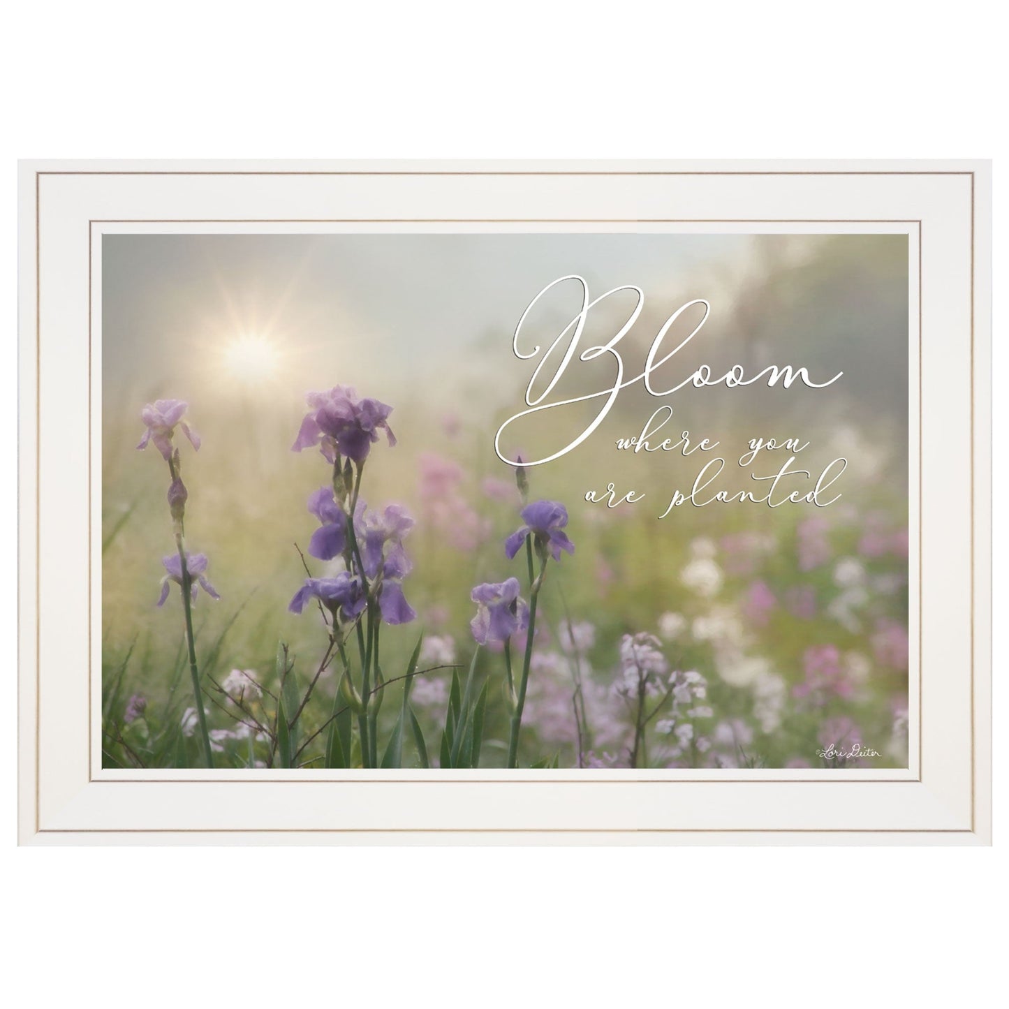 Bloom Where You Are Planted 1 White Framed Print Wall Art