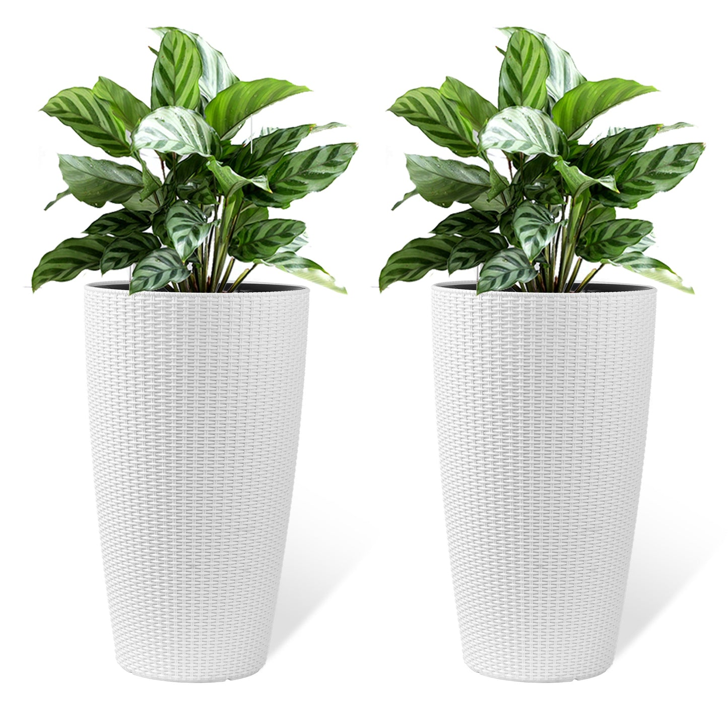Faux Rattan Tall Planters Set with Water Level Monitor and Automatic Watering, White, Polypropylene, 22 Inch