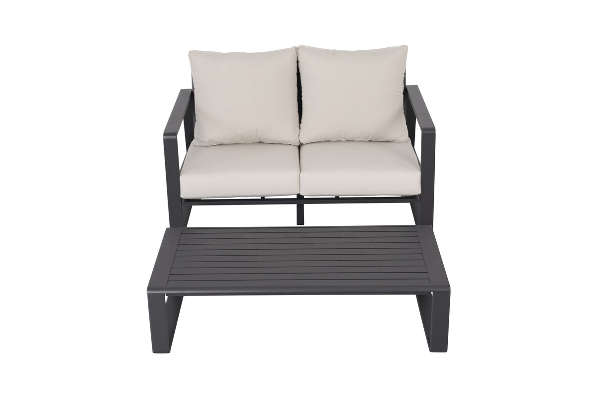 Double Sofa + Rectangular Coffee Table Set