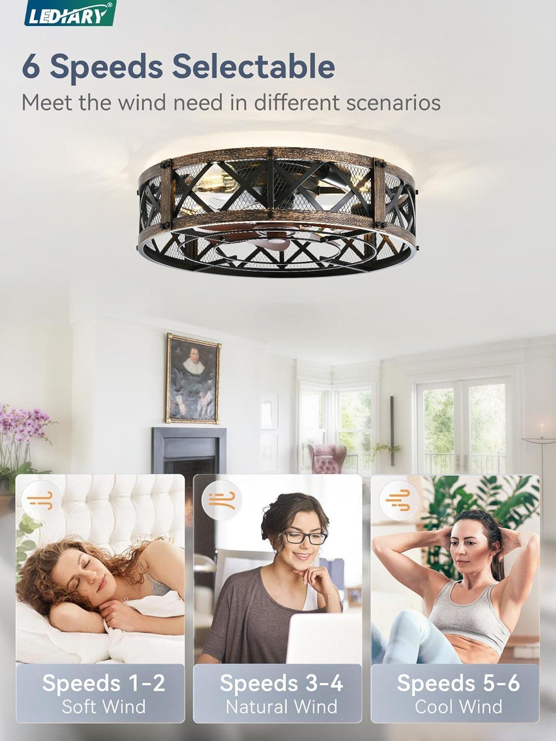 Twenty Inch Caged Ceiling Fan With Integrated Light Black