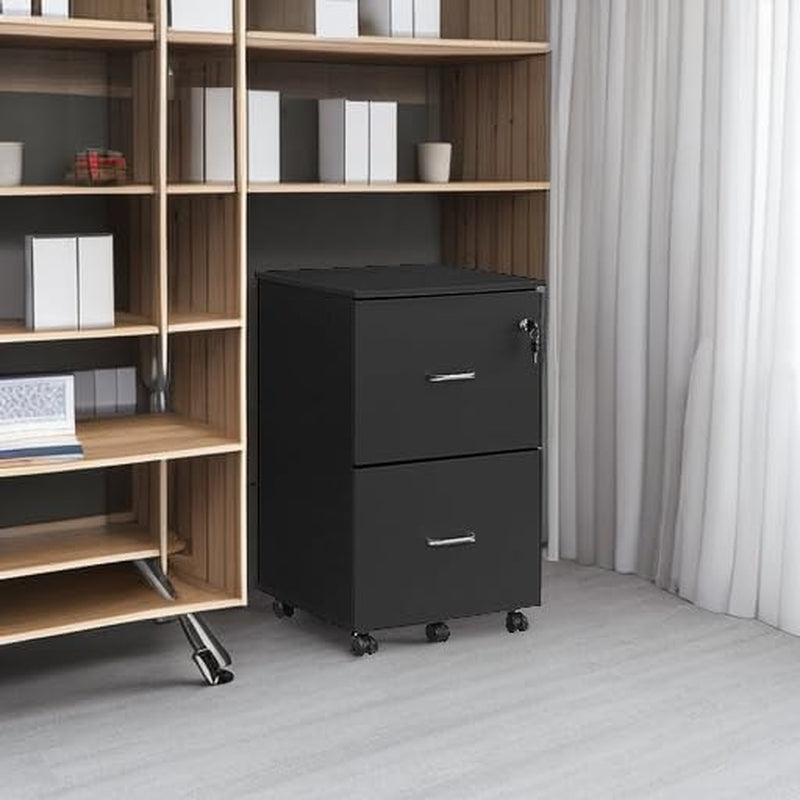 Two Drawer File Cabinet For Home Office A4 Size Black Honey Finish Space Saving Design