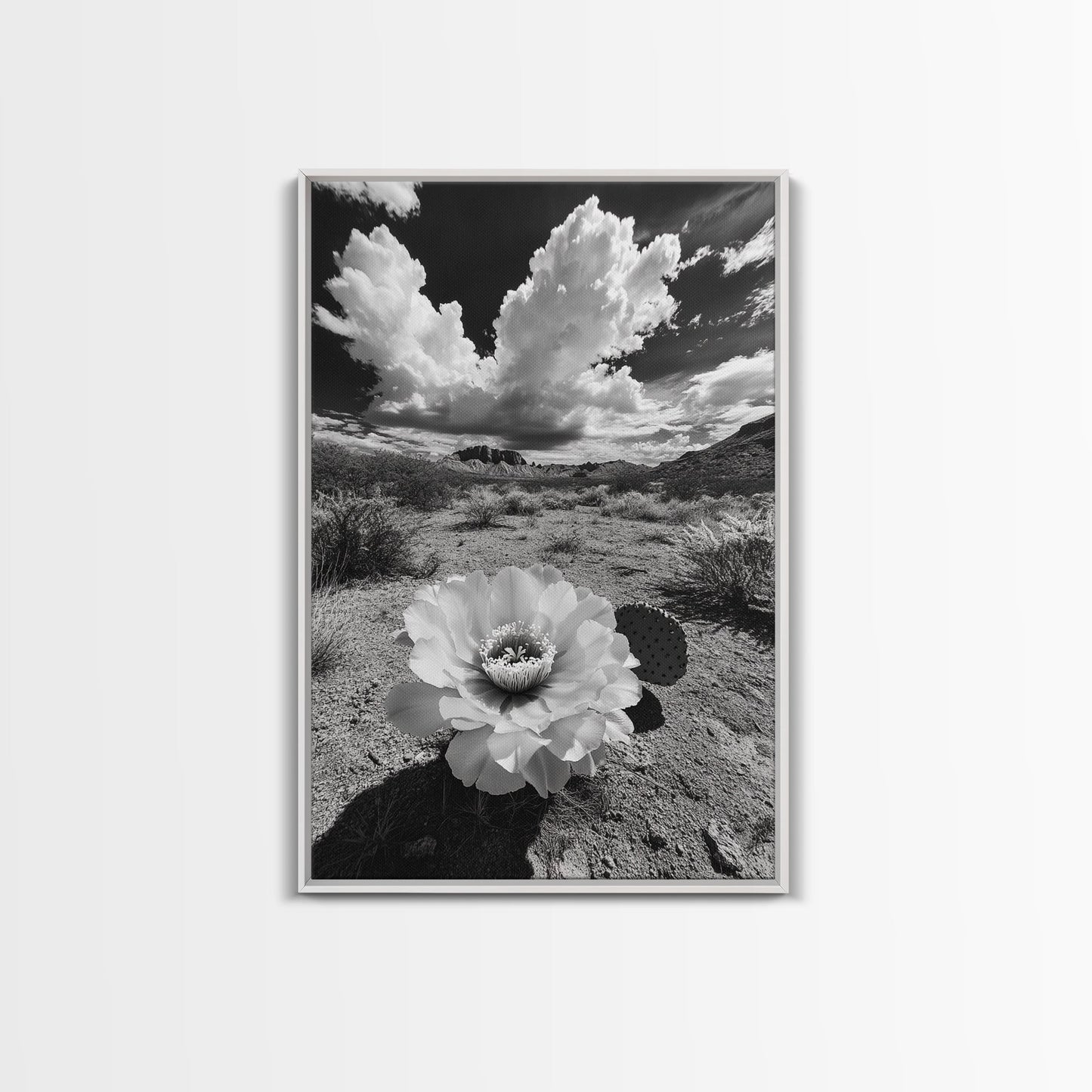 Desert Bloom, Cactus Flower, Bold Nature, Framed Canvas Print, Boho Wall Art, Southwestern Home Decor, Dramatic Desert Photography