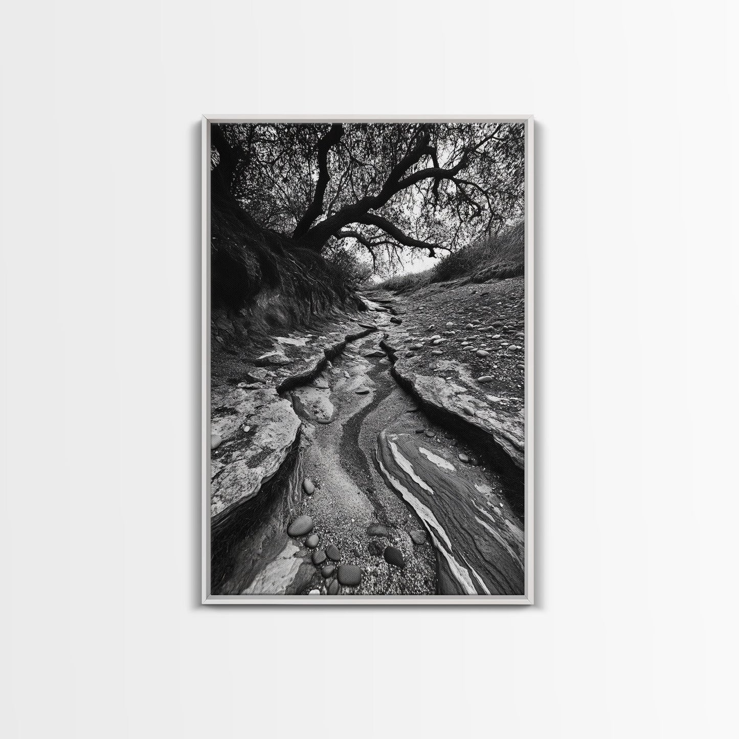 Dry Creek, Twisted Tree, Rocky Path, Framed Canvas Print, Moody Autumn Wall Art, Earthy Entryway Decor, Nature Texture Photography