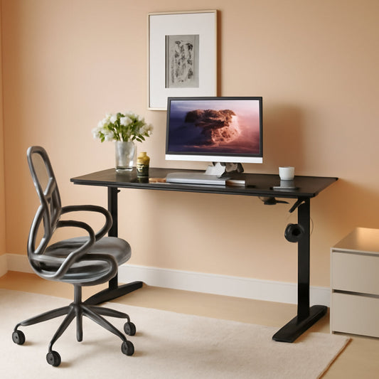 48 Inch Electric Standing Desk With Adjustable Height