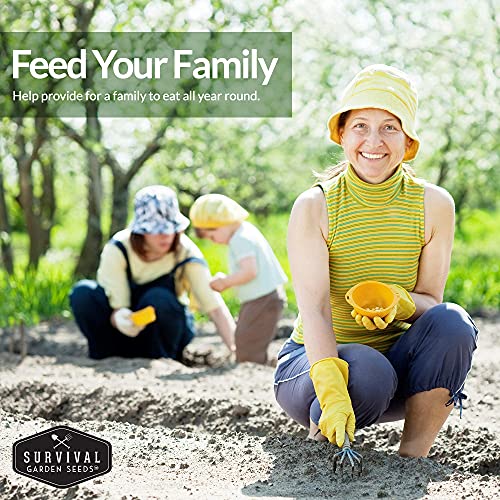 Barbecue Vegetable Seed Collection – 6 Heirloom Grilling Favorites for Summer Cookouts