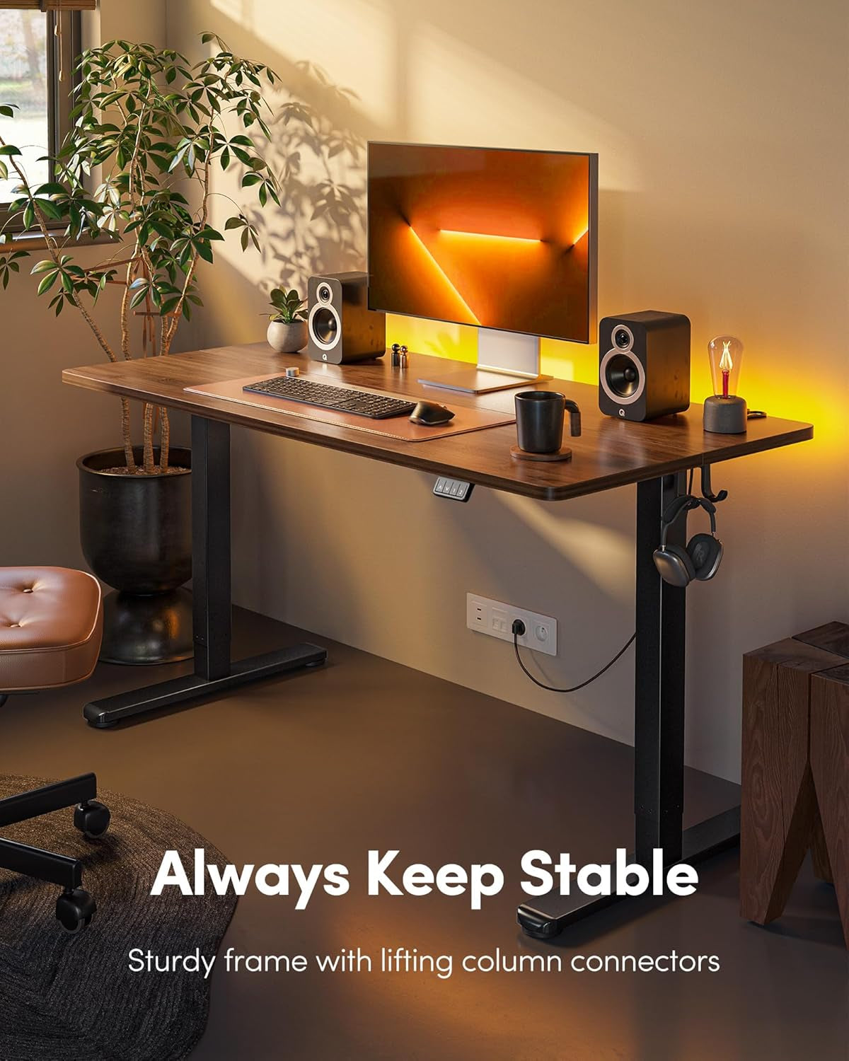 Electric Height Adjustable Standing Desk 55x24 Black Walnut